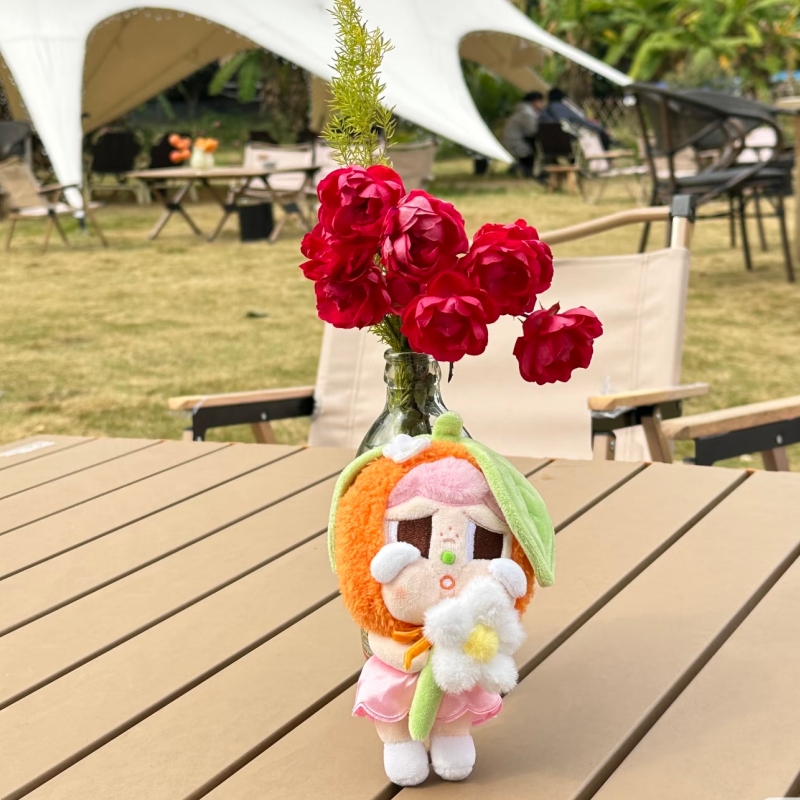Genuine New Popmart City Park  - Baby Products Gift Card review and price